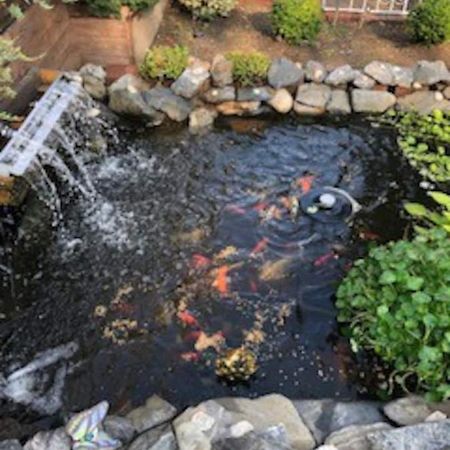 Beautiful Brooklyn Koi-Fish Pond-Garden Residence New York Ngoại thất bức ảnh